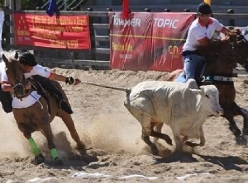 C?mara aprova em 1? turno PEC que regulamenta vaquejadas