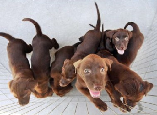 Barreiras: Chuvas alagam ruas e causam transtornos a moradores