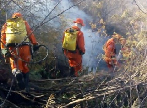 Temer deve exigir contrapartida antes de socorrer Estados com recursos da União