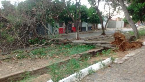Fortes rajadas de ventos destelha casas e derruba árvore em Brumado na tarde deste domingo  (06)