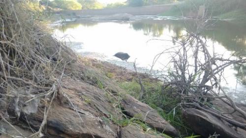 Homem é encontrado morto dentro do Rio Brumado, na Fazenda Barra