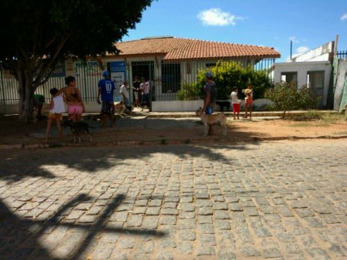 Está acontecendo em Brumado a Vacinação Antirrábica