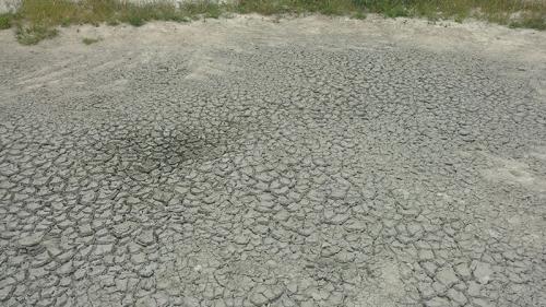 Aracatu e mais 172 municípios têm situação de emergência decretado pelo Governo do Estado devido a seca