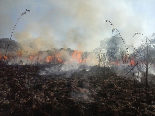 Incêndio em Ituaçu e Ibicoara deixa a Chapada Diamantina em alerta