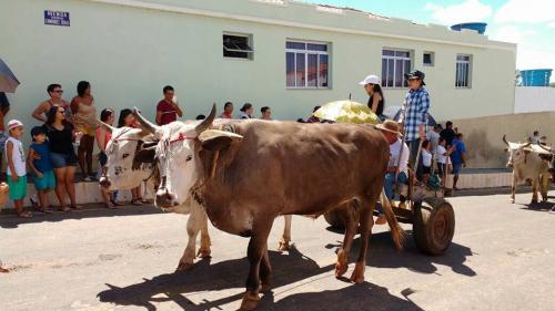 População de Rio do Antônio prestigiou o 3º Encontro de Carro de Boi