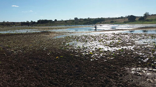 Alerta: Barragem Lagoa da Horta que abastece Guajeru e Rio do Antônio só tem água para mais 30 dias