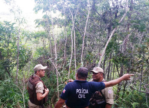 Polícia descobre plantação de Maconha na Zona Rural de Barra da Estiva