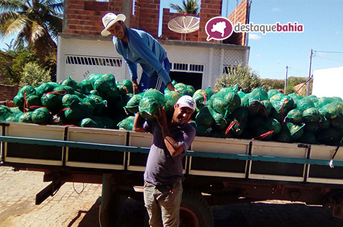Malhada de Pedras: Agricultor se destaca no cultivo de abóbora e melancia