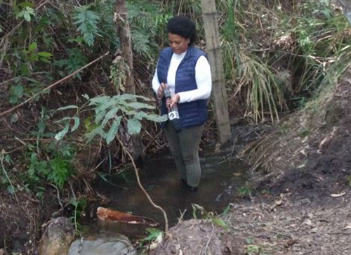 Rio Paraguaçu que tem nascente em Barra da Estiva será tema de série de TV