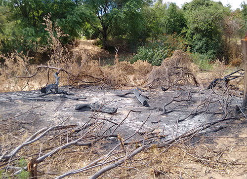 MODERA CONSTATA DEGRADAÇÕES EM MARGENS DO RIO DO ANTÔNIO