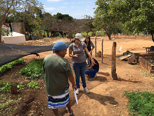 Estudantes de Rio do Antônio são premiados por criarem catálogo medicinal