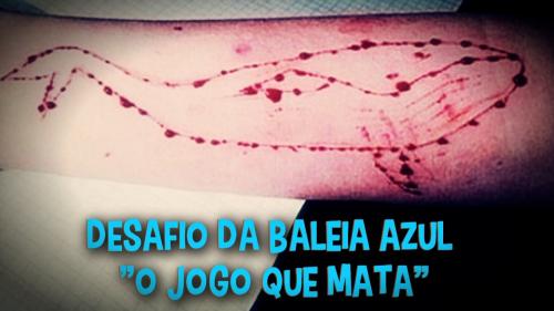 Garota de 15 anos desaparece na Bahia e família suspeita de jogo da 'Baleia Azul'