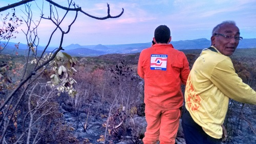 Incêndio em Ituaçu é controlado; secretário agradece Corpo de Bombeiros