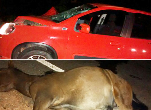 Vereador maetinguenses sofre acidente na BA 623, trecho entre Maetinga e Jânio Quadros