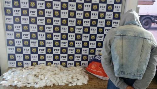 Mulher é presa com mais de 2 mil papelotes de cocaína em Vitória da Conquista