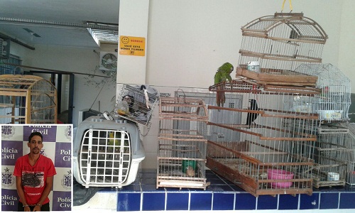 Polícia Civil prende autor de roubo a estabelecimento comercial