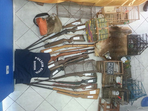 Chapada: Polícia faz ação em combate a abatimento de animais silvestres