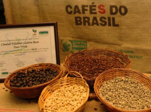 Café da região da Chapada Diamantina é destaque em leilão internacional