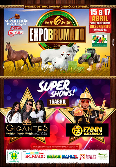 Confira a programação oficial da EXPOBRUMADO 2016