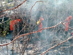 Fogo na Chapada Diamantina se alastra em Palmeiras e Lençóis