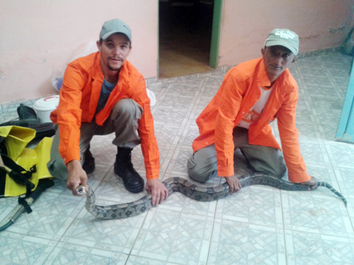 Lavrador leva tremendo susto ao encontrar serpente na zona rural de Barra da Estiva