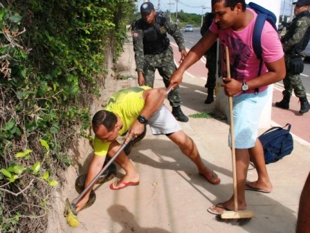 Salvador: Sucuri de 3 metros é achada perto de ponto de ônibus