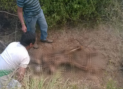Corpo em estado avançado de decomposição é encontrado em Caculé