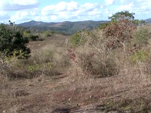 Adolescente de 14 anos se finge de morto após ser baleado no Sul da Bahia