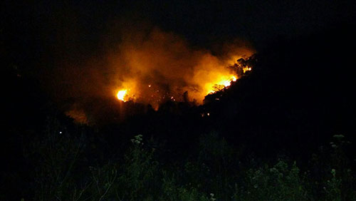 Fogo atinge a vegetação da Serra do Gerais em Ituaçu; veja o vídeo