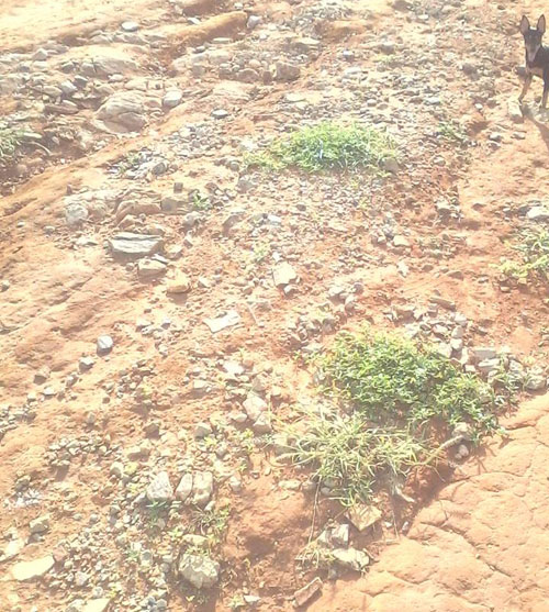 Falta de assistência por parte do setor de Infraestrutura deixa moradores do Bairro Esmeraldas indignados