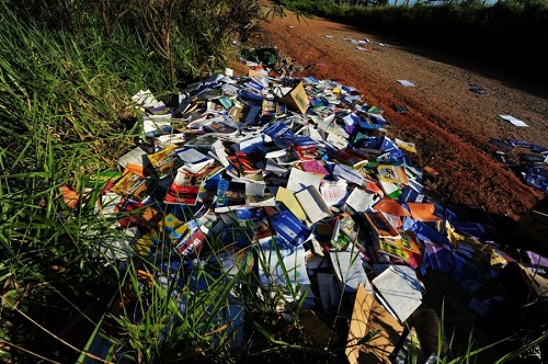 alunos desenvolvem projeto sustentável para usar papéis como adubo para plantas em Guanambi 