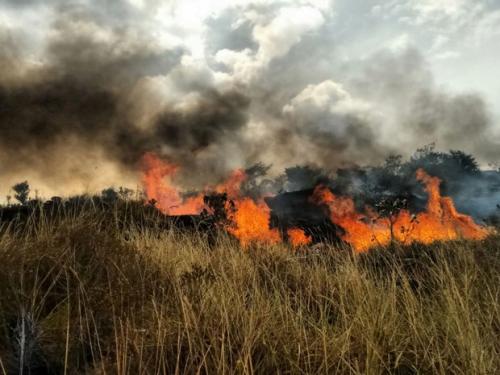 Fogo ameaça casas em Lençóis e Vale do Capão, dizem brigadistas na Bahia