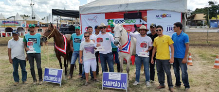 Chapada Diamantina: Haras JVD de Ibicoara participará da Copa do Mundo Marchador em Julho