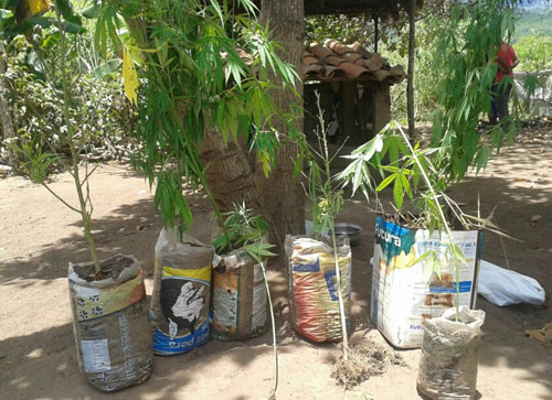 Ibicoara: Homem é preso por tráfico, corrupção de menores e assaltos