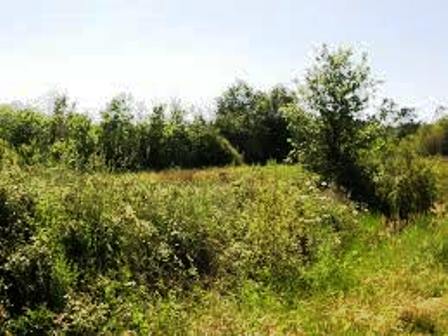 Mulher é abordado por bandido em ponto de ônibus e levada para matagal, a vitima teve todos seus pertences roubados