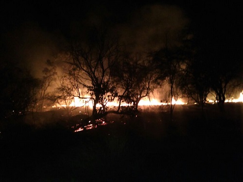 Incêndio atinge Serra das Éguas em Brumado: Área corresponde a território da Magnesita