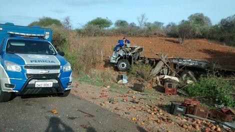 Caminhão tomba e duas pessoas morrem na BR – 030 próximo a Ibitira