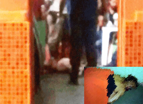 Cliente mata garota de programa em uma boate do Bairro São José