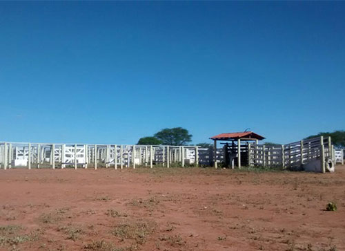 Mais uma conquista: Centro de Comercialização de Animais de Malhada de Pedras receberá investimento de quase 100 mil reais