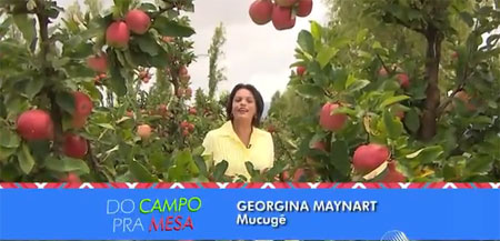 Produção de maçã gera renda e emprego em Mucugê na região da Chapada Diamantina