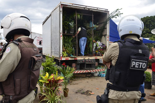 Cerca de 500 mudas de plantas ornamentais são apreendidas pela ADAB