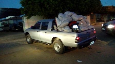 Operação conjunta da PM-BA, Polícia Federal e PM-PE erradica mil pés de maconha no norte da Bahia