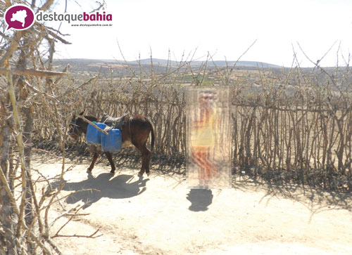 Brumado e Aracatu integram a lista dos 106 municípios em ‘Situação de Emergência’ devido a estiagem