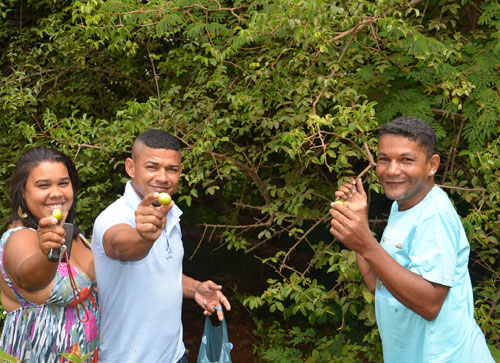 Brumadenses interrompem passeio e se rendem aos encantos e sabores do Umbu