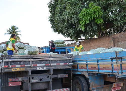 Venda do Umbu já movimenta a economia da região