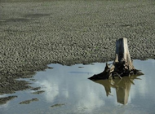 Governo cria projeto para enfrentar seca ‘extremamente dura’ em 2016, afirma Dauster