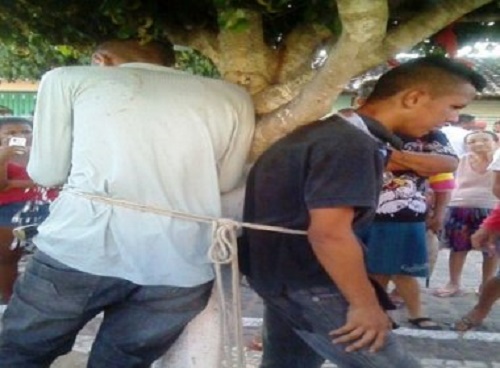 Monte Santo: População persegue e amarra acusados de furtos em árvore; veja vídeo