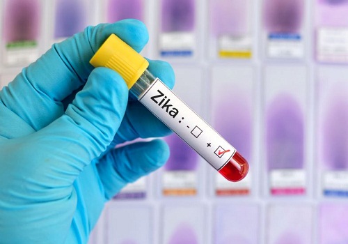 Plano estratégico da OMS requer US$ 121 milhões para combate à zika